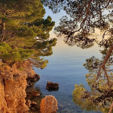 Apartment Miskovic Makarska Exterior foto