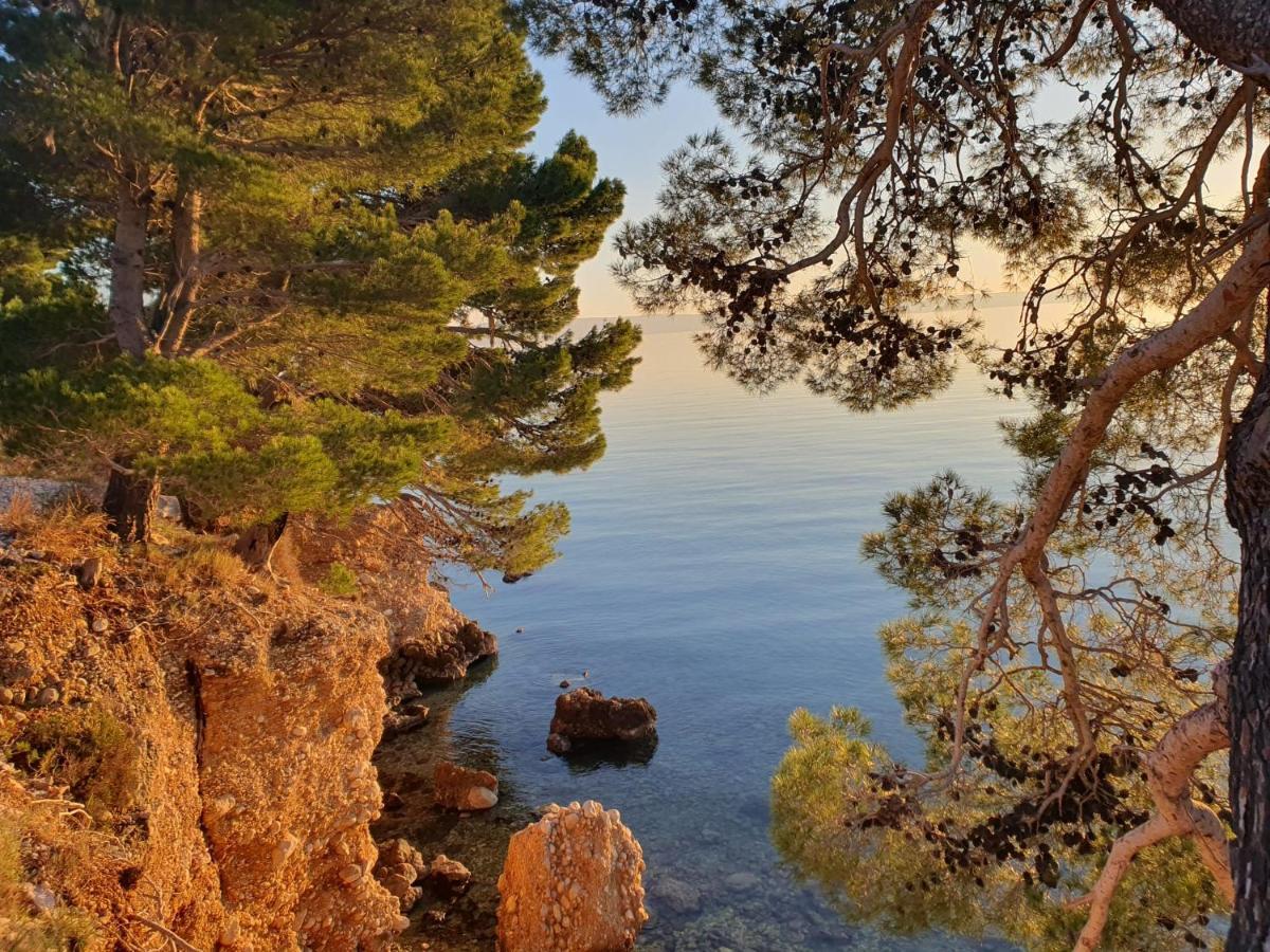 Apartment Miskovic Makarska Exterior foto
