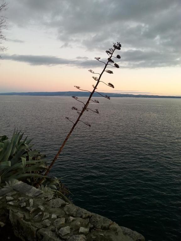 Apartment Miskovic Makarska Exterior foto
